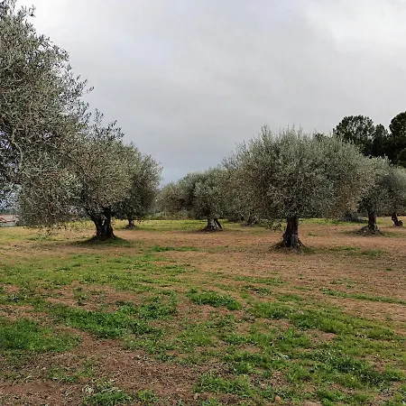 Quinta Lameira Do Vale Fundão