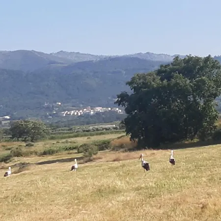 Quinta Lameira Do Vale