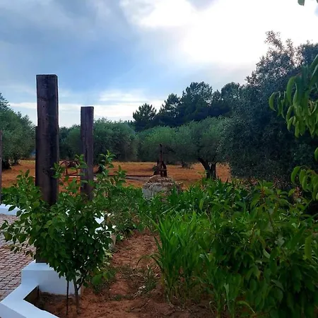 Quinta Lameira Do Vale *