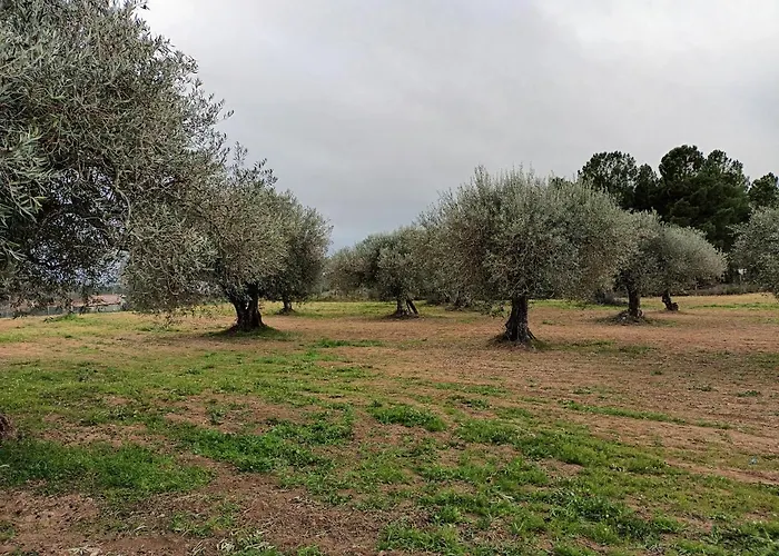 Quinta Lameira Do Vale Fundão