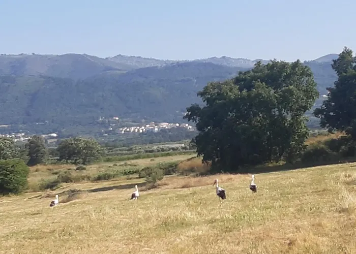 Quinta Lameira Do Vale